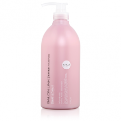 Bộ dầu gội Salon Link Extra Nhật Bản